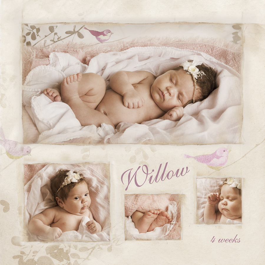 Newborn-071.jpg